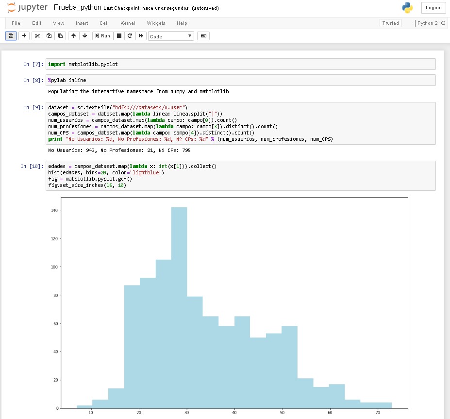 jupyter notebook exec output