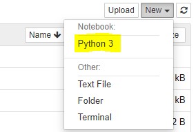 jupyter notebook exec output