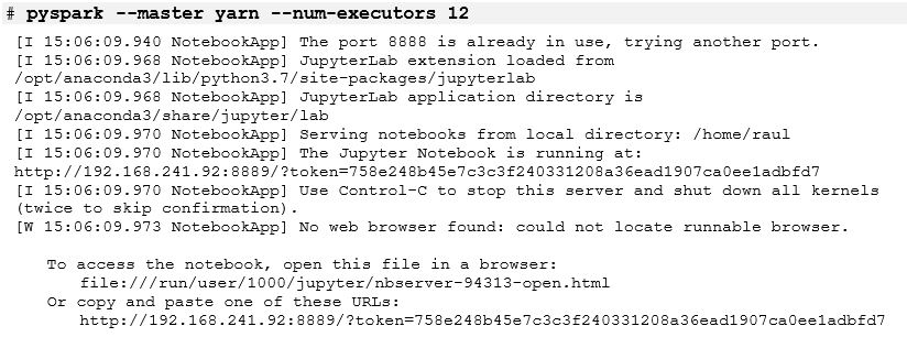 jupyter notebook exec output